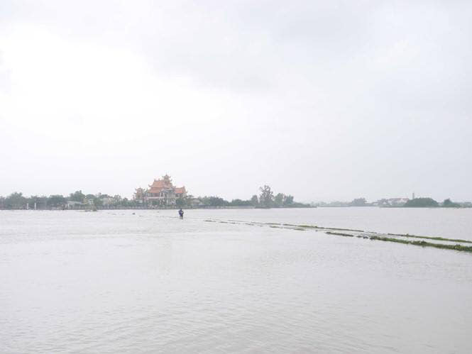 Bình[-]Định[-]mưa[-]lớn,[-]hơn[-]11.300[-]ha[-]lúa[-]mới[-]gieo[-]sạ[-]bị[-]ngập[-]úng